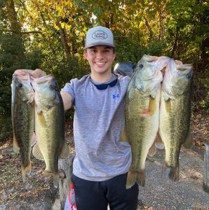 Meet your Posher, Brooks